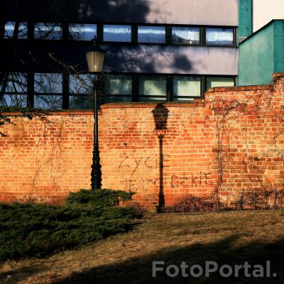 Światłocienie Poznania