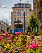 Ul. Ratajczak historyczny tramwaj