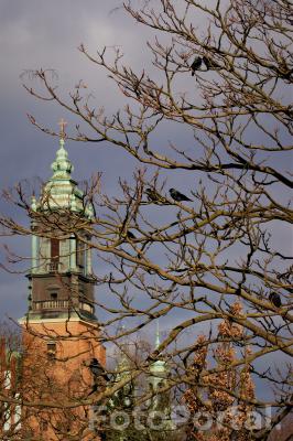 Wiosenne światło nad Katedrą