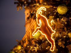 Świąteczny koziołek