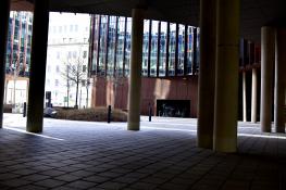 Światłocienie Poznania