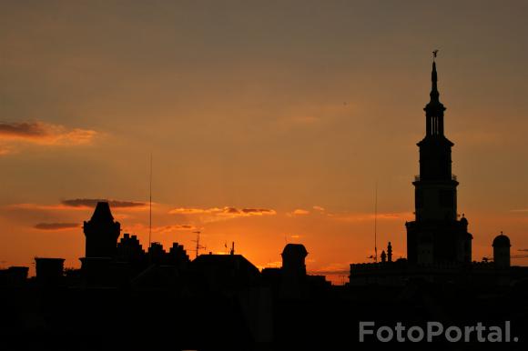 Panorama z Poznania