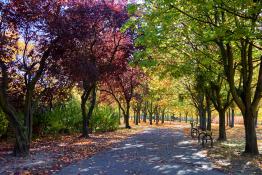 Park Wł Czarneckiego w jesiennych kolorach
