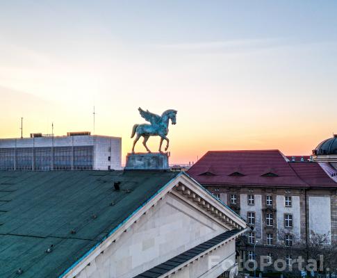 Poznański Pegaz 🐴