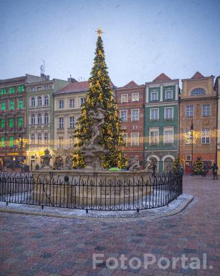 Świąteczny Poznań