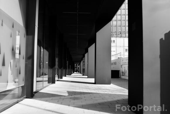 Światłocienie Poznania