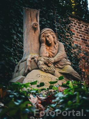 Cmentarz Zasłużonych Wielkopolan