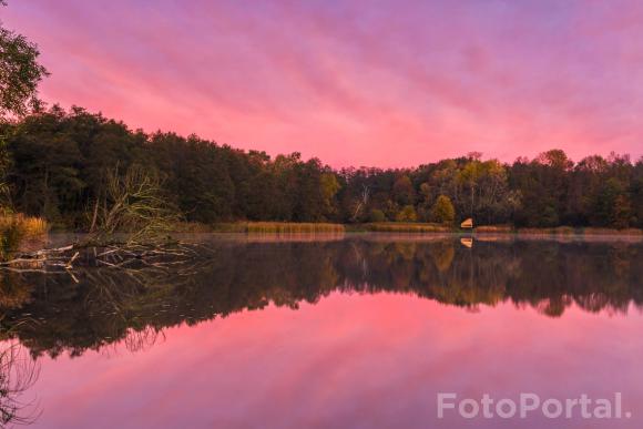 Poranek nad Rusałką