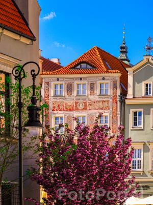 Stary Rynek