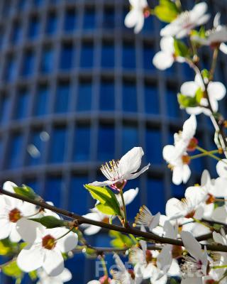 Wiosna na okrągło
