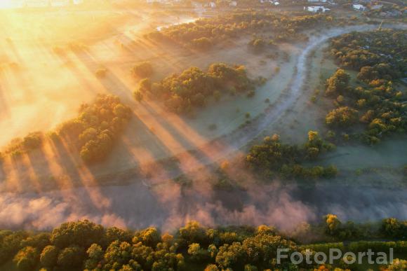 Szeląg