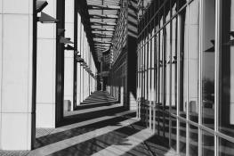 Światłocienie Poznania