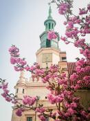 Wiosenny Poznań