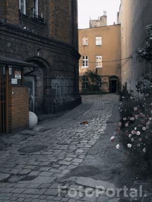 Uliczka na Starym Mieście.