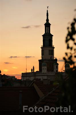 Panorama z Poznania