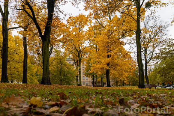 Jesienny  Poznań