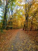 Jesienny spacer na Rusałce