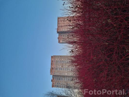 Na zewnątrz, czy ze środka