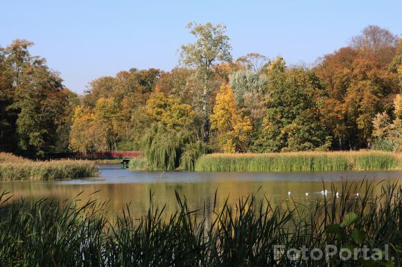 Październik na Sołaczu