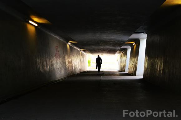 Światłocienie Poznania