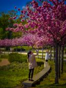 Wiosenne kolory - Rosarium Park Cytadela