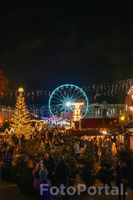 Świąteczne zamieszanie