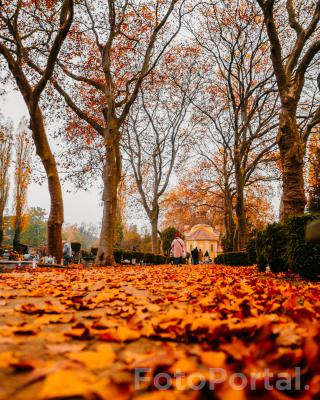 Jesień na cmentarzu na ulicy Bluszczowej