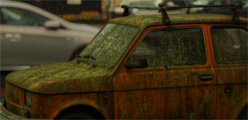 Porzucony, przejęty przez naturę