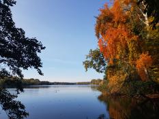 Jesień nad Rusałką