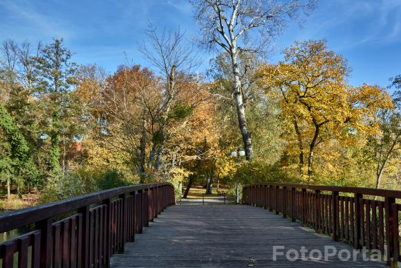 Mostek w Parku Sołackim