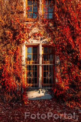 Kolorowa ściana UAM