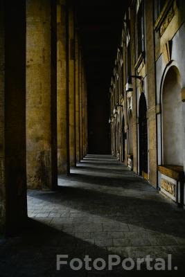 Światłocienie Poznania