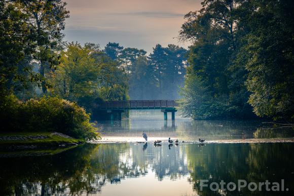 Park Sołecki