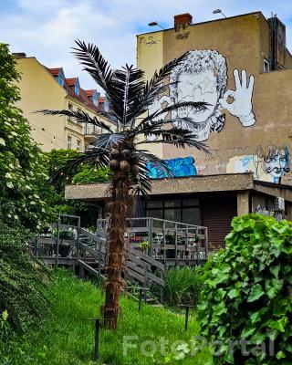 Palma