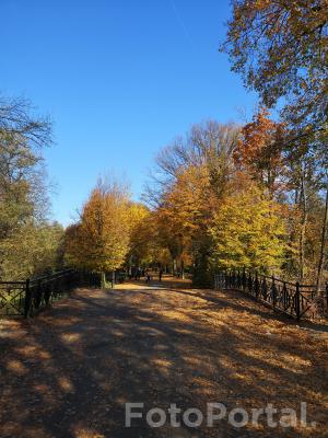 Pszczyńska park