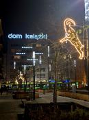 Koziołki hasają po książki