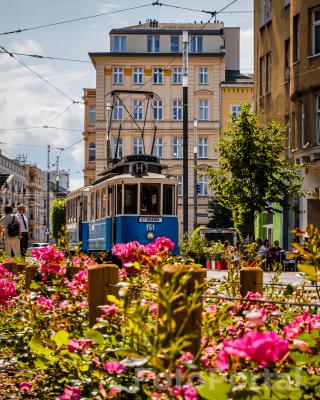 Ul. Ratajczak historyczny tramwaj