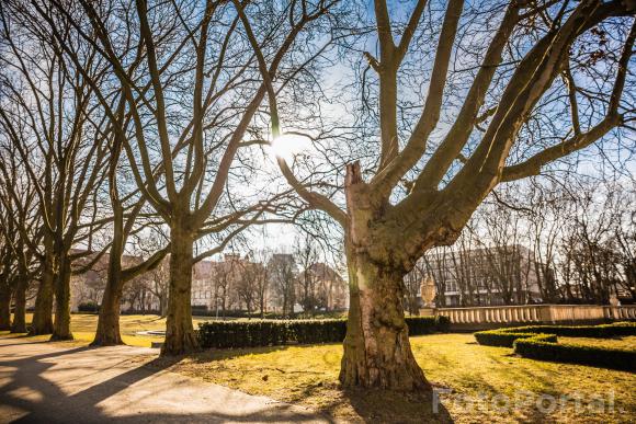 Park przed Operą