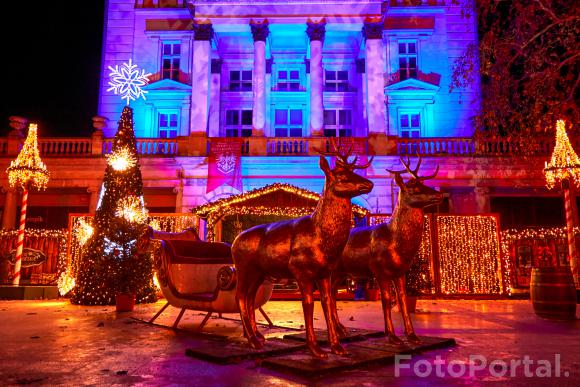 Świątecznie w Poznaniu