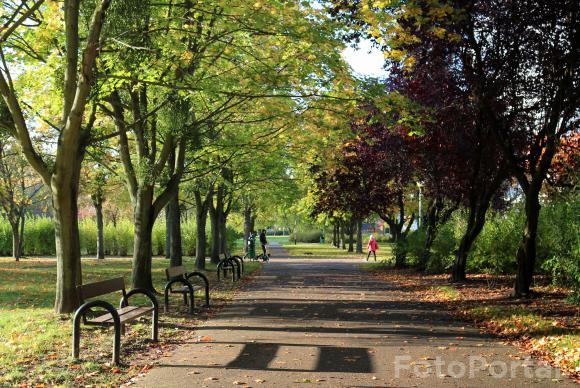 Październik w parku