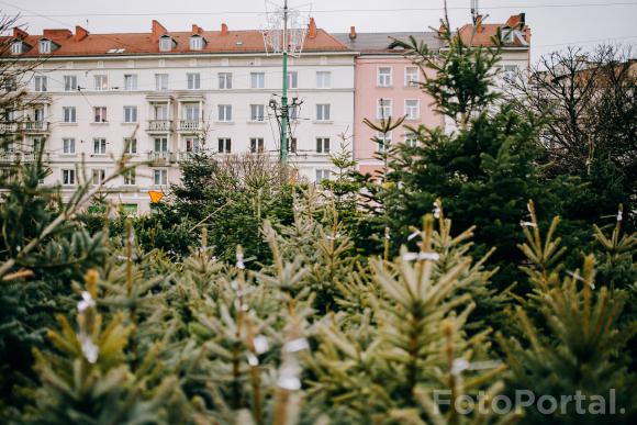 Święta na Placu Wielkopolskim