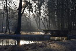 Światłocienie Poznania