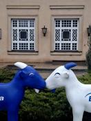 Przybyły koziołki pod okienko