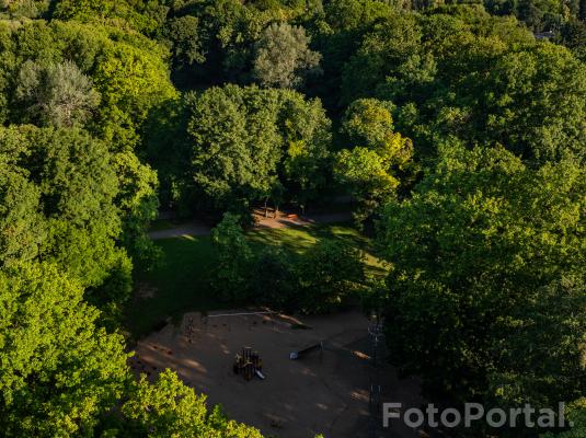 Zielony Sołacz 3