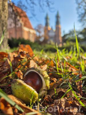 Bazylika Archikatedralna św. Apostołów Piotra i Pawła