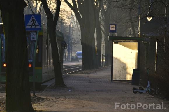Światłocienie Poznania