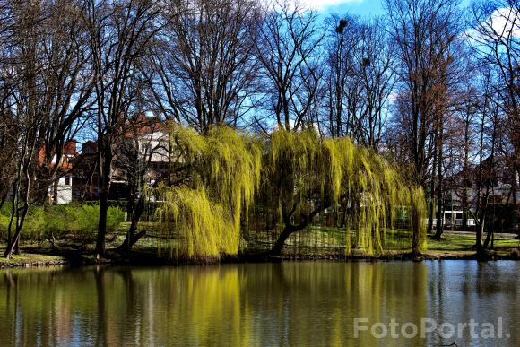 Park Sołacki