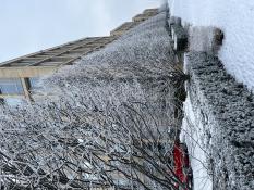 Jak zima otula miasto....