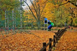 Park Sołacki - rozbudowa placu zabaw