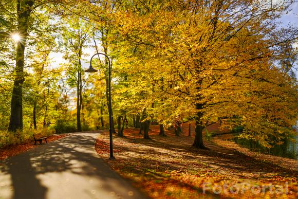 Park Sołacki